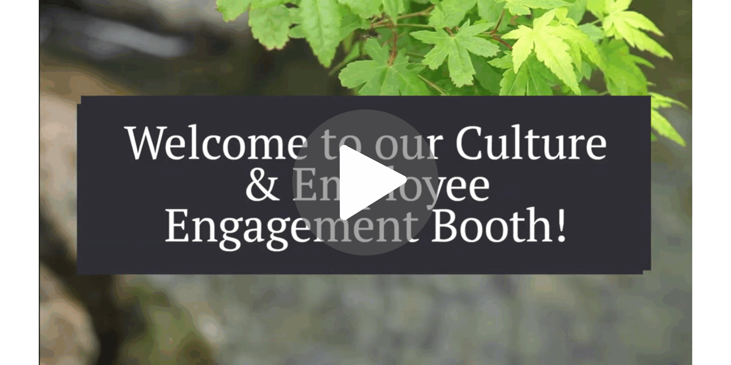 Culture and engagement video image